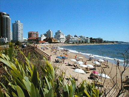 Playa Mansa Punta del Este Punta del Este Uruguay Información turística