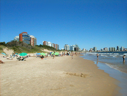 Playa Mansa Punta del Este Punta del Este Uruguay Información turística